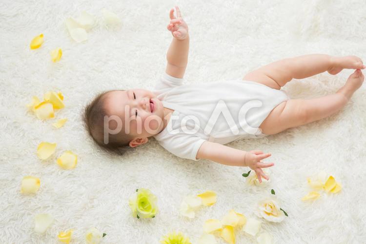 花びらと赤ちゃん（笑顔） 赤ちゃん,花,笑顔の写真素材