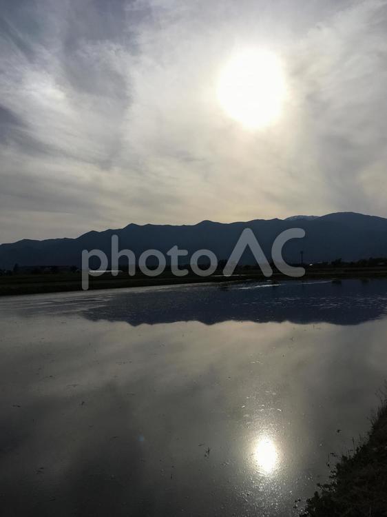 信州安曇野 夕日が反射する水田 水田,夕暮れ,田植えの写真素材