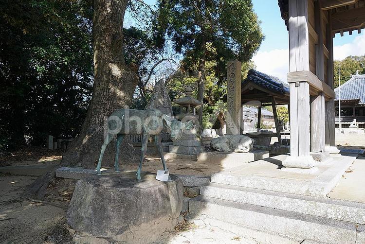 パワースポット　淡路島　春日神社➅　鹿像 兵庫県,淡路島,パワースポットの写真素材