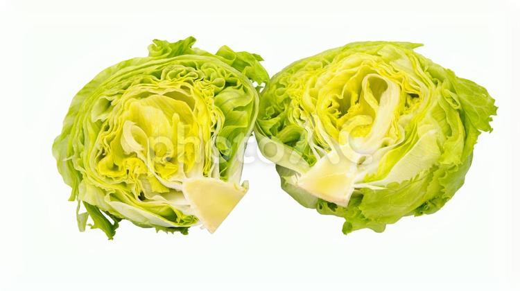 半分に切ったレタス　白背景 レタス,野菜,食材の写真素材
