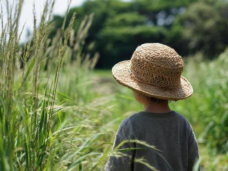 麦わら帽子と夏 麦わら帽子と夏の写真