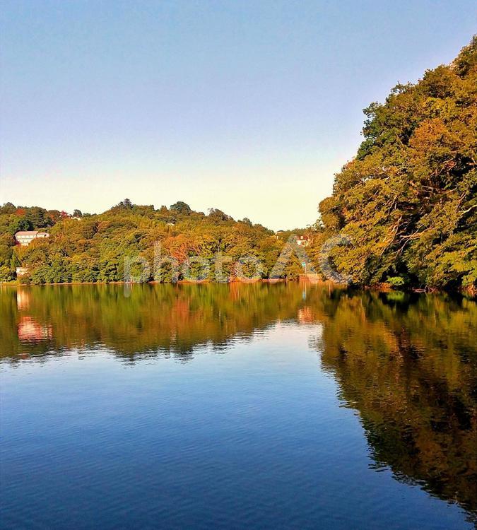 一碧湖の静かな湖面と水鏡の青空 一碧湖,初秋,伊豆の瞳の写真素材