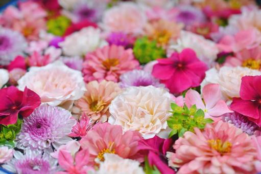 花手水 花手水の写真