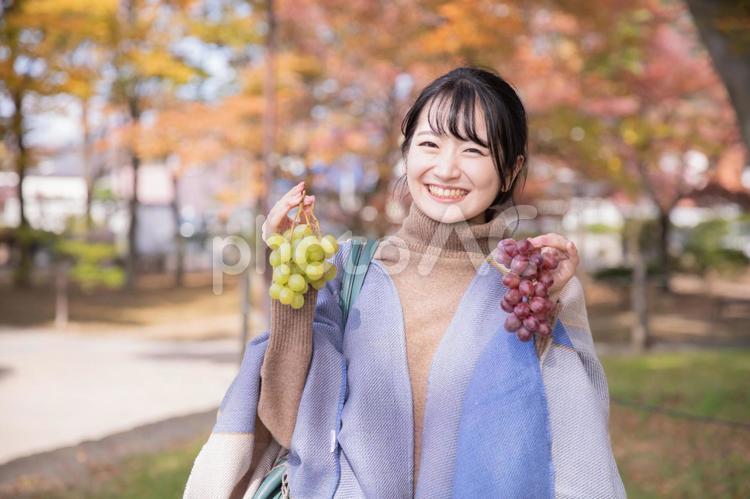 秋の公園でブドウを持つ女性 フルーツ,ブドウ,ぶどう狩りの写真素材