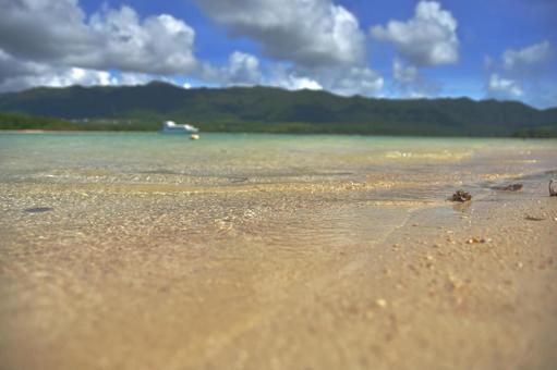 夏の海 夏の海の写真