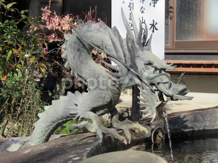 水を吐き出し続ける手水場の龍 龍,竜,水の写真素材