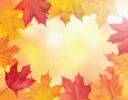 秋の紅葉フレーム背景 秋の紅葉フレーム背景の写真