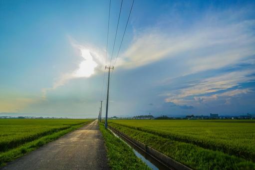 雲を抱く電線塔 雲を抱く電線塔の写真