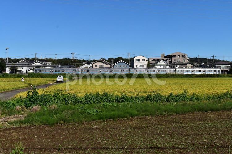 相模線 相模線,鉄道,列車の写真素材