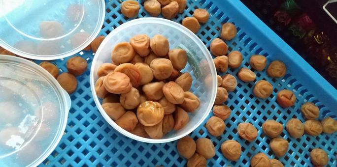 梅干し 梅干し,梅仕事,梅の写真素材