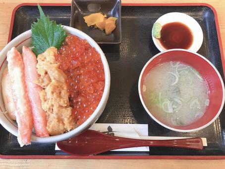 海鮮丼 海鮮,丼,海鮮丼の写真素材