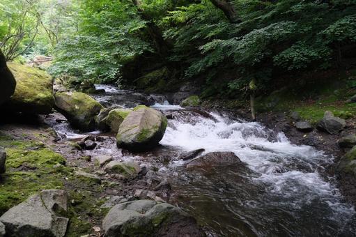 渓流 渓流 渓流,流れ,清流の写真素材