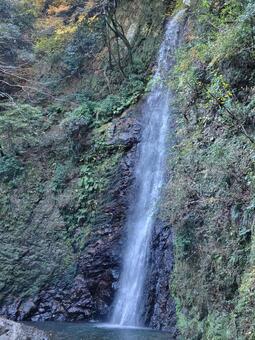 岐阜県-養老の滝 養老の滝,滝,日本の滝百選の写真素材