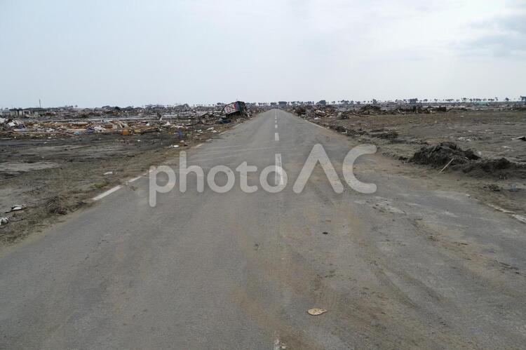 東日本大震災後の荒浜地区 荒浜,震災,道路の写真素材