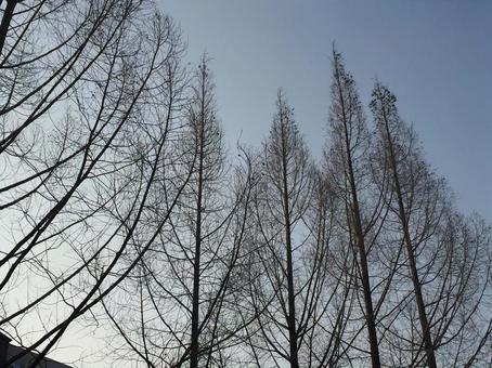 冬の風景 冬の風景の写真