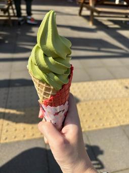 亀山茶ソフトクリーム 亀山茶ソフトクリーム ソフトクリーム,アイスクリーム,亀山茶の写真素材