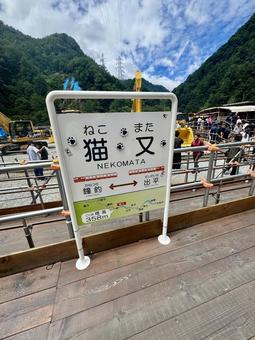 猫又駅 猫又駅の写真