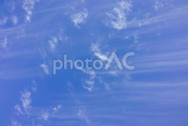 初冬の晴れた空　巻雲１ 青空,空,巻雲の写真素材