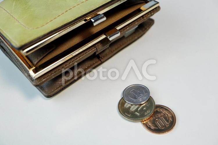 511円出た財布 財布,小銭,小銭入れの写真素材
