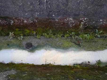 ドブの汚水 ドブ,汚水,濁ったの写真素材