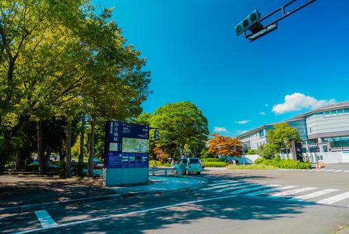 【宮城】仙台城跡 【宮城】仙台城跡 宮城,仙台,城跡の写真素材