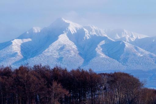 冬の斜里岳の険しい山肌 冬の斜里岳の険しい山肌 斜里岳,雪山,林の写真素材