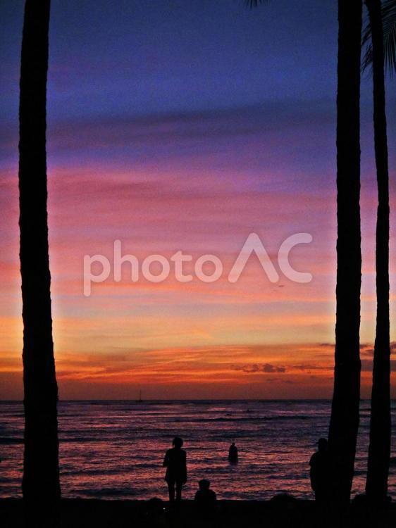 ハワイホノルルの夕暮れ オレンジ,ハワイ,ヤシの木の写真素材