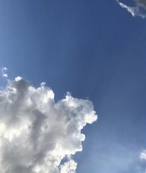 青空 青空の写真