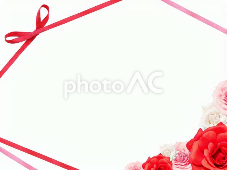 薔薇とリボンのフレーム リボン,フレーム,背景の写真素材