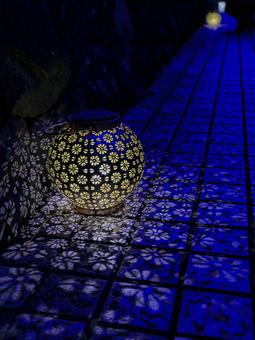 光の花 ライトアップ,光の花,イルミネーションの写真素材