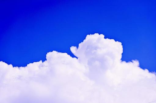 夏の空のにゅうどうぐも 夏の空のにゅうどうぐもの写真