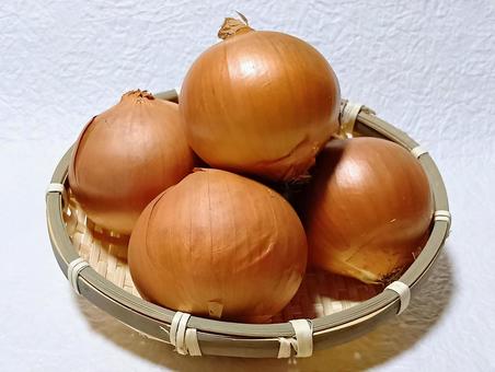 玉ねぎ 玉ねぎ,野菜,食材の写真素材