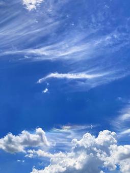 夏空 夏空の写真