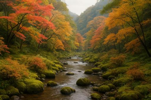 渓谷沿いに広がる秋の草木 渓谷沿いに広がる秋の草木の写真