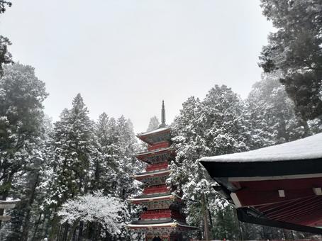 冬の日光東照宮 冬の日光東照宮の写真