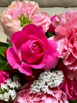 バラのアレンジメント バラ,花,ピンクの写真素材