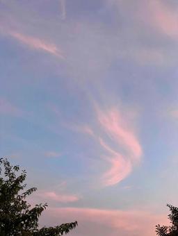 ピンクの雲 ピンクの雲の写真