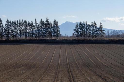 晩秋の畑と斜里岳 晩秋の畑と斜里岳 丘,北海道,土の写真素材