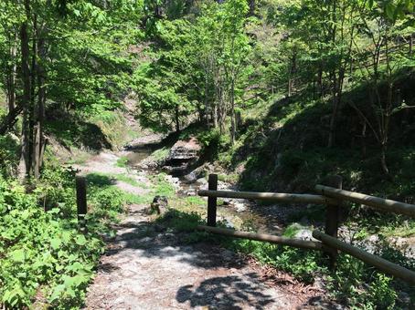 遊歩道の川 遊歩道の川の写真