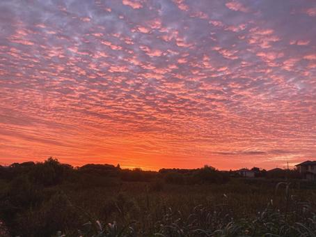 一の池の朝焼けの写真