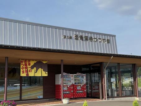 道の駅恐竜渓谷かつやま 橋,恐竜渓谷かつやま,勝山の写真素材