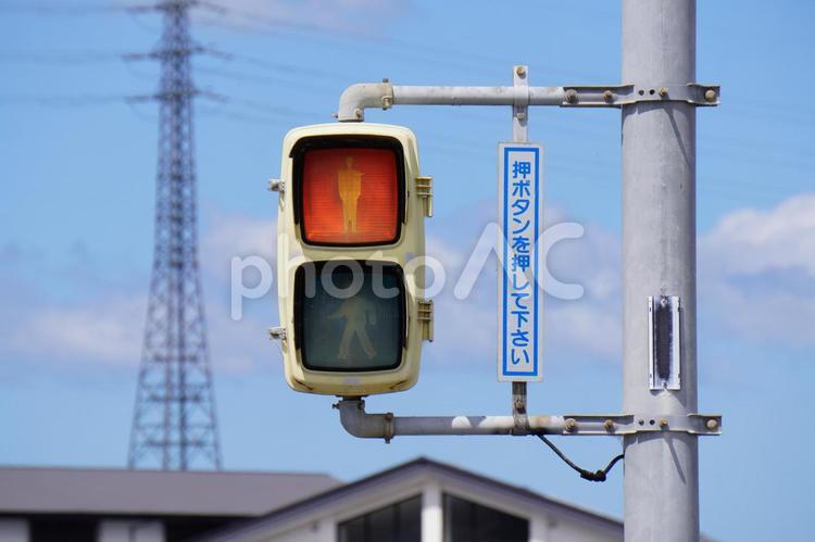 歩行者用信号機 信号,電球式,空の写真素材