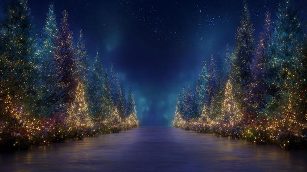 クリスマスツリーの並木道 クリスマスツリーの並木道の写真