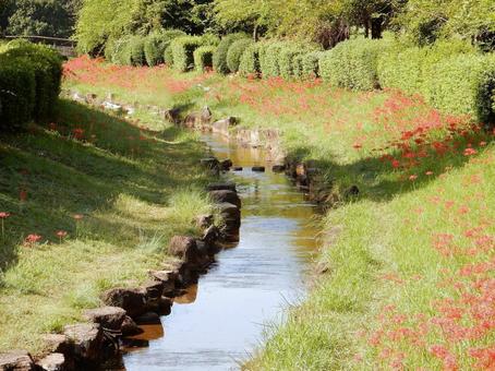 【彼岸花の写真】彼岸花が咲く風景 【彼岸花の写真】彼岸花が咲く風景の写真