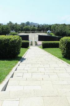 昭和公園(縦写真) 昭和公園(縦写真) 公園,見晴らし,木々の写真素材