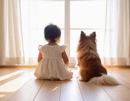 リビングで日光浴する赤ちゃんと犬の後ろ姿 リビングで日光浴する赤ちゃんと犬の後ろ姿の写真