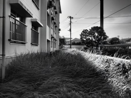 ゲームのような団地の裏手 ゲームのような団地の裏手 不気味,ゲーム,ゲーム風の写真素材