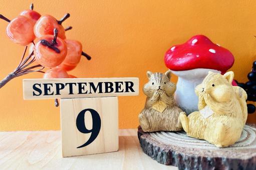 9月の背景素材 9月の背景素材 9月,カレンダー,スケジュールの写真素材