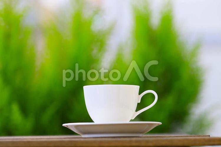 コーヒーカップと緑ぼかし背景 コーヒー,飲む,コップの写真素材