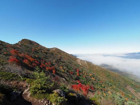 紅葉(黒斑山・浅間山) 紅葉(黒斑山・浅間山) 紅葉,もみじ,秋の写真素材